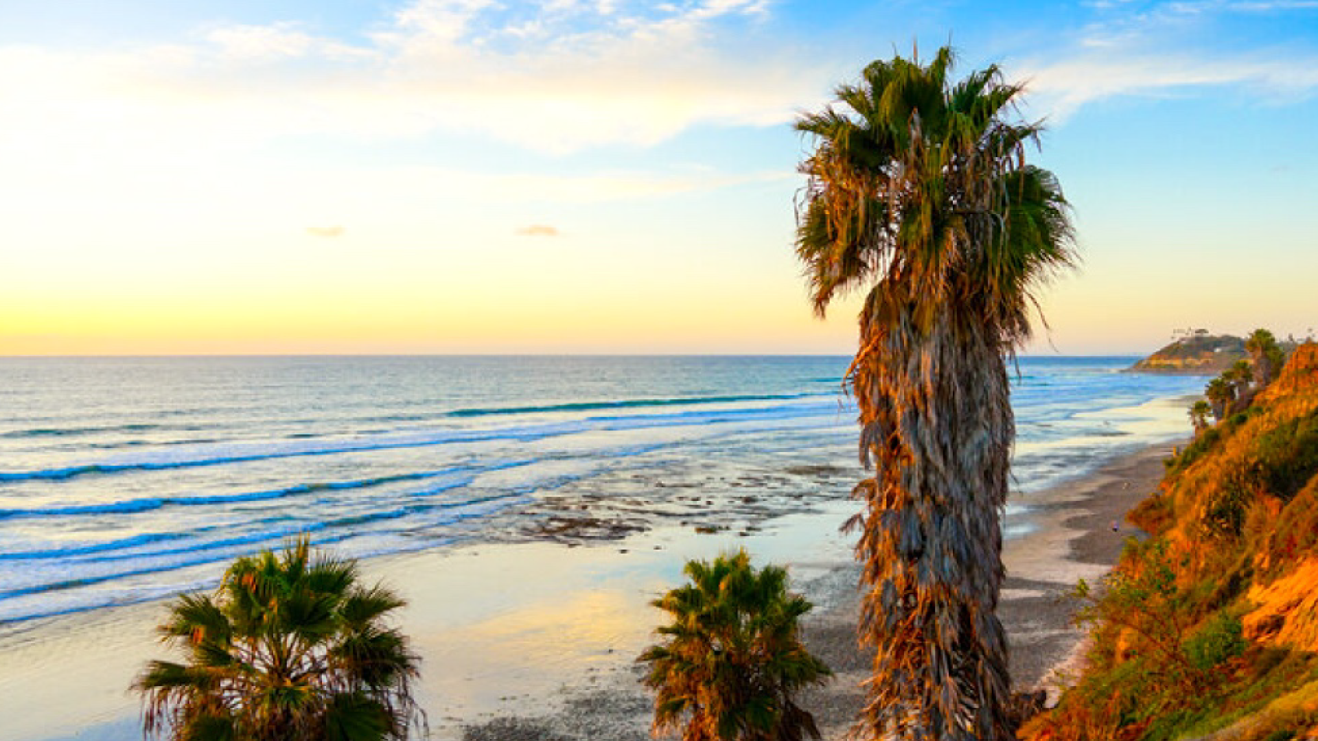 California-Coast-Tour-from-San-Francisco