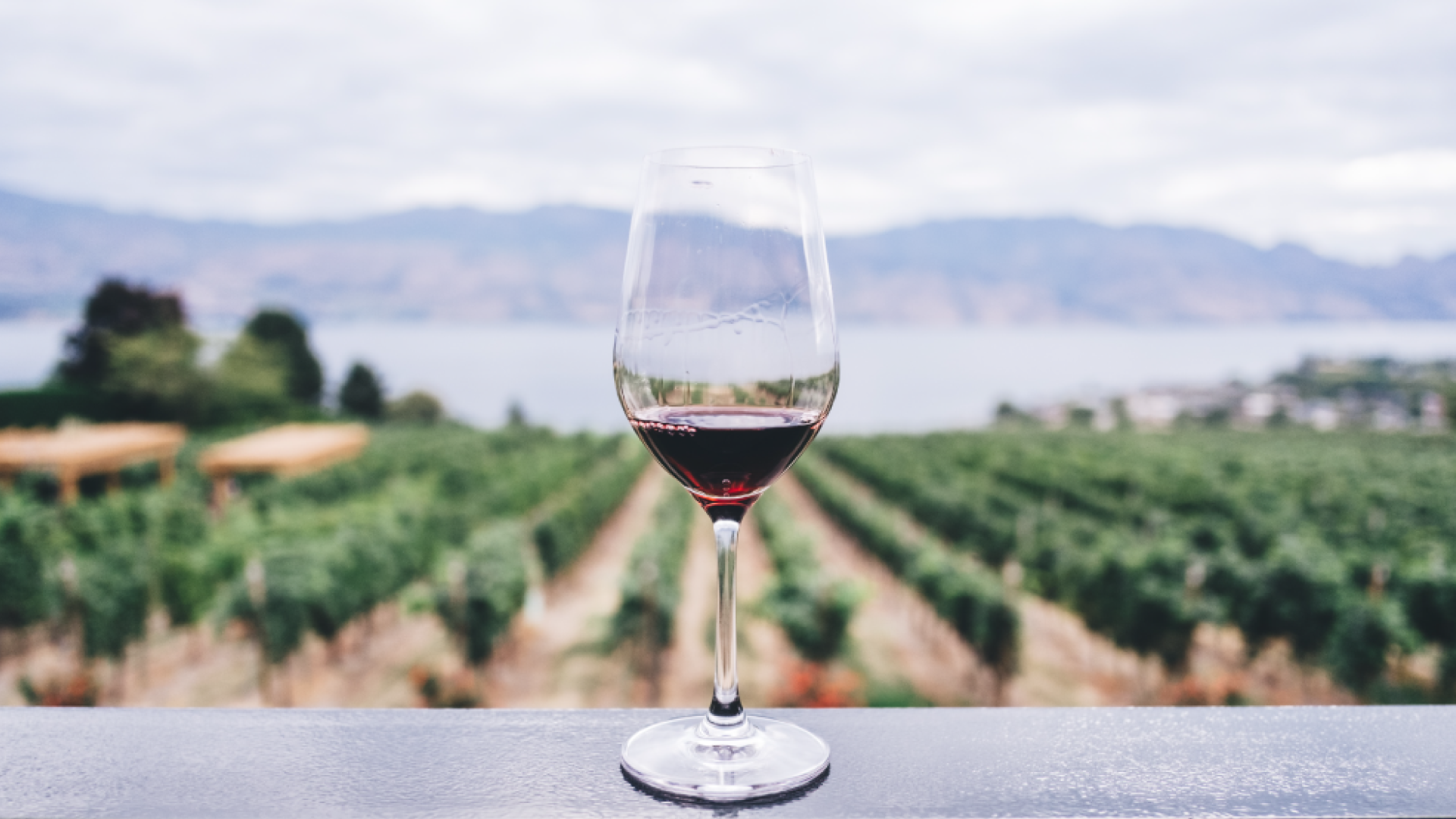Private-Napa-Valley-Tour-from-San-Francisco-1