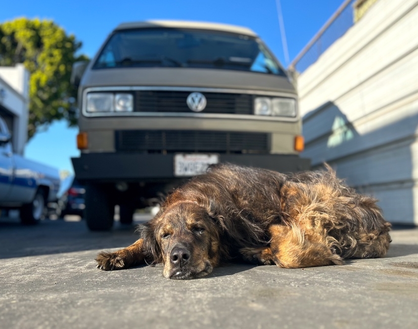 Digital Detox Road Trip