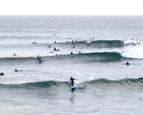 California Surfers Santa Cruz