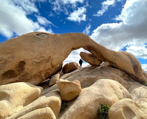 Joshua Tree Weekend From Los Angeles
