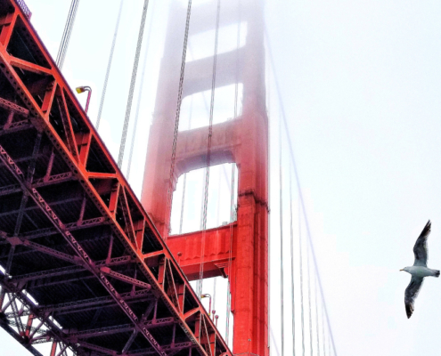 Golden Gate Bridge on Napa Valley Offsite