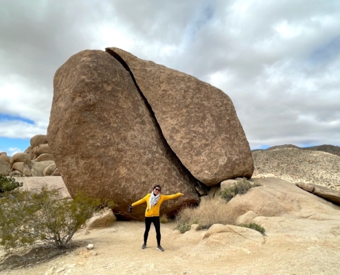 Split Rock Joshua Tree