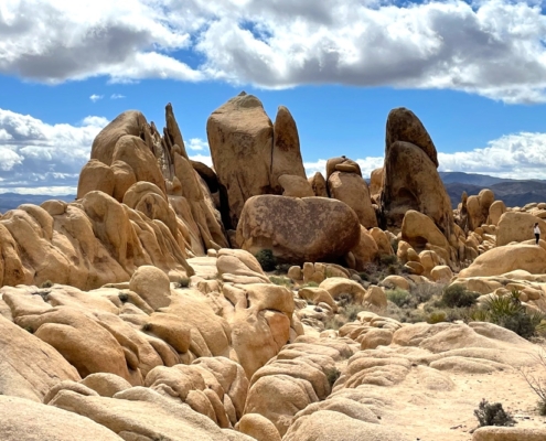 Joshua Tree Jumbo Rocks