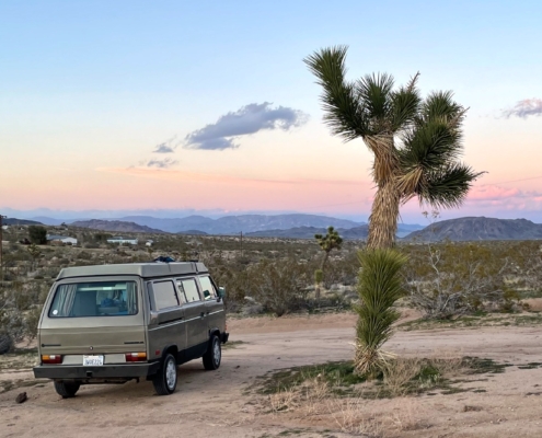 Joshua Tree Private Tour