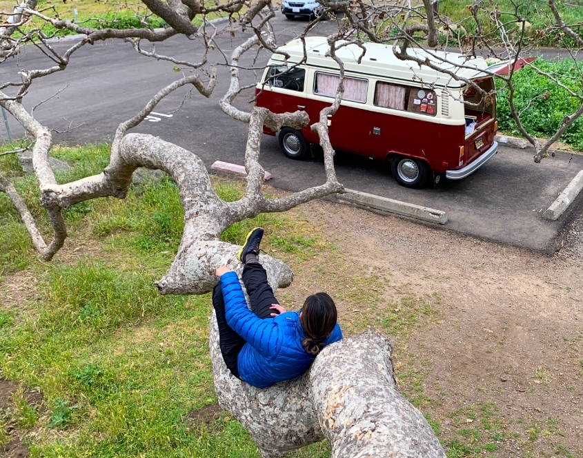 Malibu Road Trip Offsite