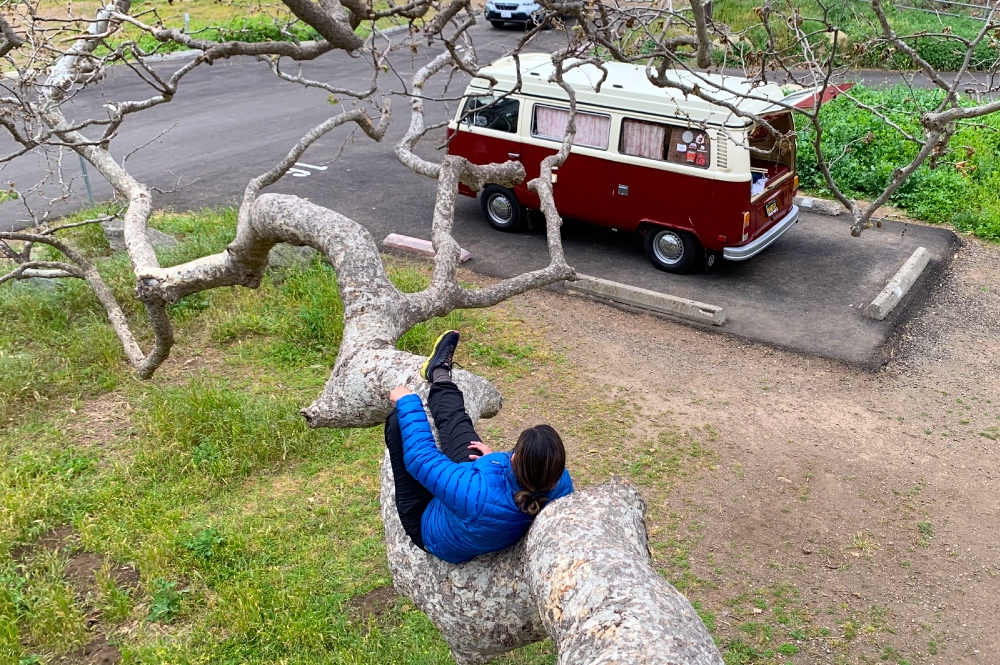 Malibu Road Trip Offsite