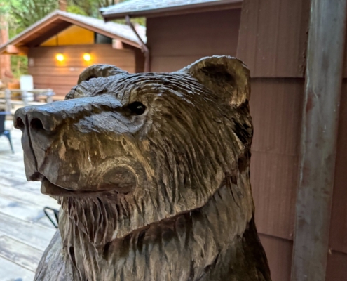 Muir Woods Bear