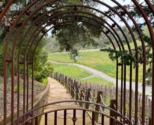 Napa Offsite Vineyard