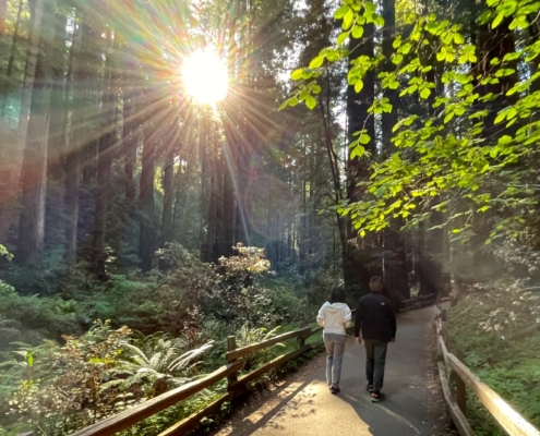 Private Hiking Offsite in Nature