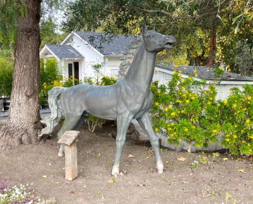 Private Sonoma Vineyard