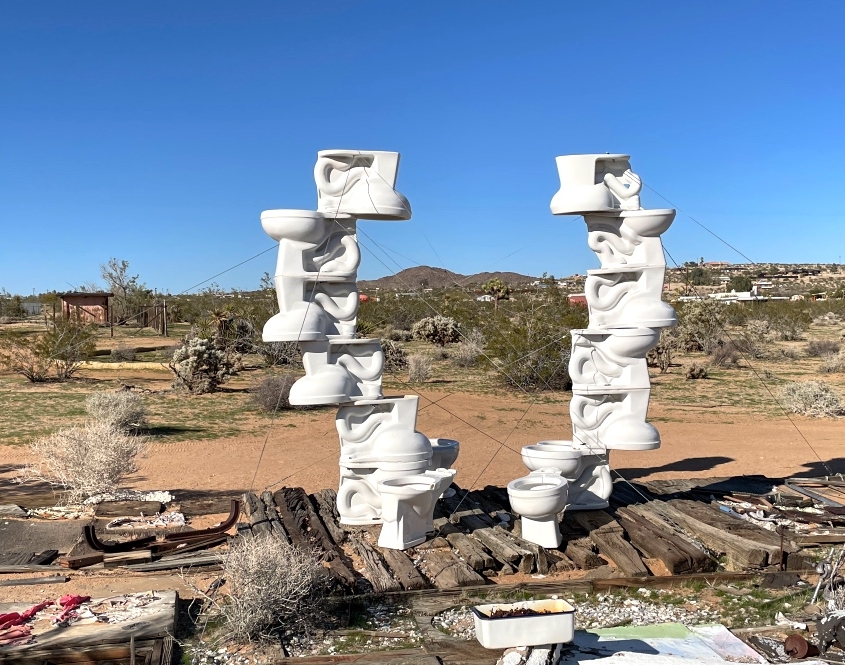 Joshua Tree Toilet Art