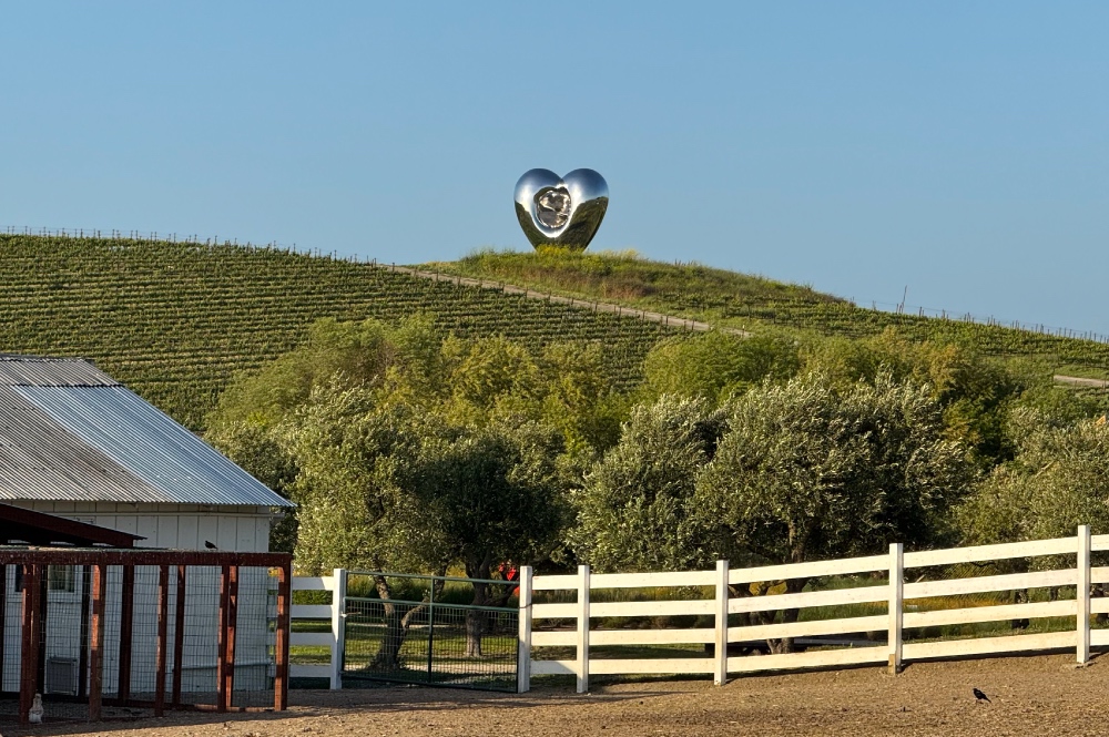 Leave-Your-Heart-In-Napa-Valley Heart in Napa Valley