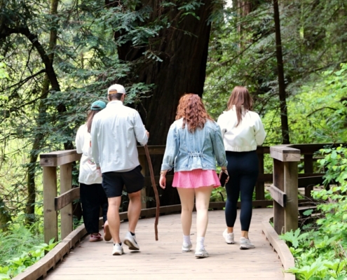 Muir Woods Offsite from San Francisco