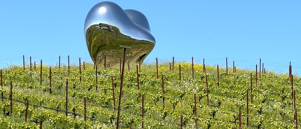 Premium Wine Tour from San Francisco