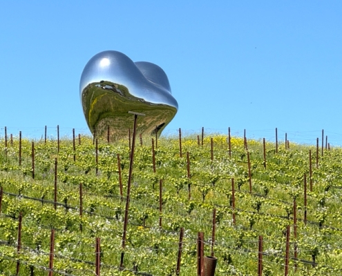 Premium Wine Tour from San Francisco