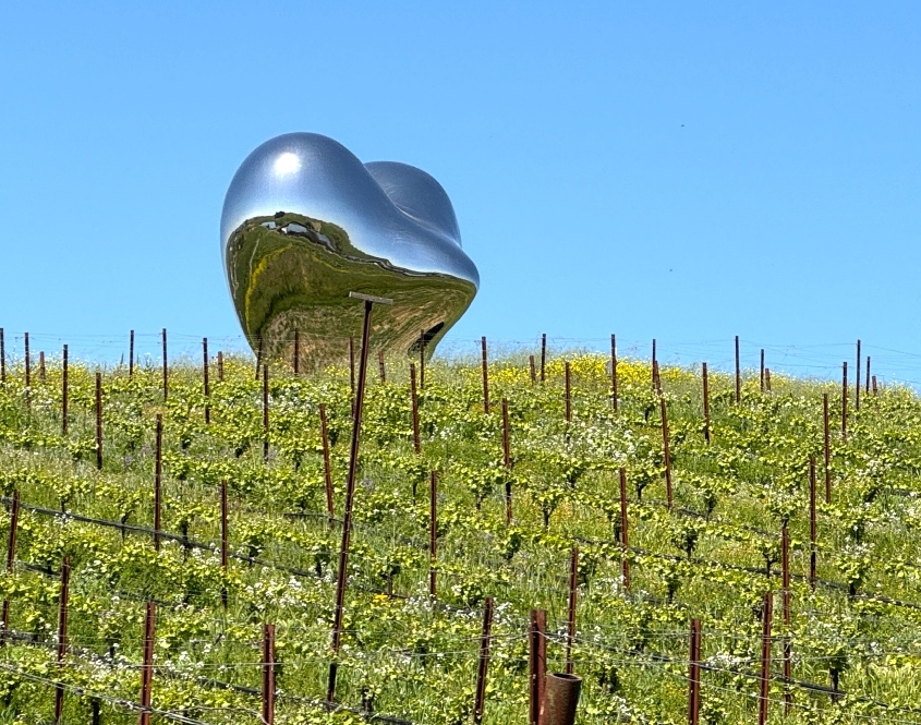 Premium Wine Tour from San Francisco