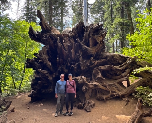 Big Trees Yosemite Offsite