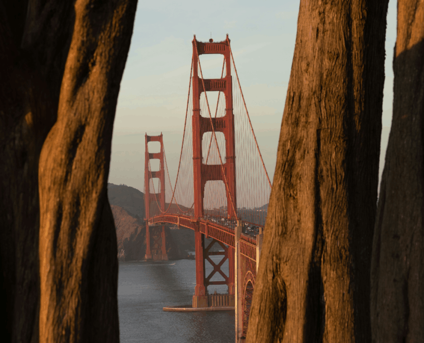 Golden Gate Bridge Offsite